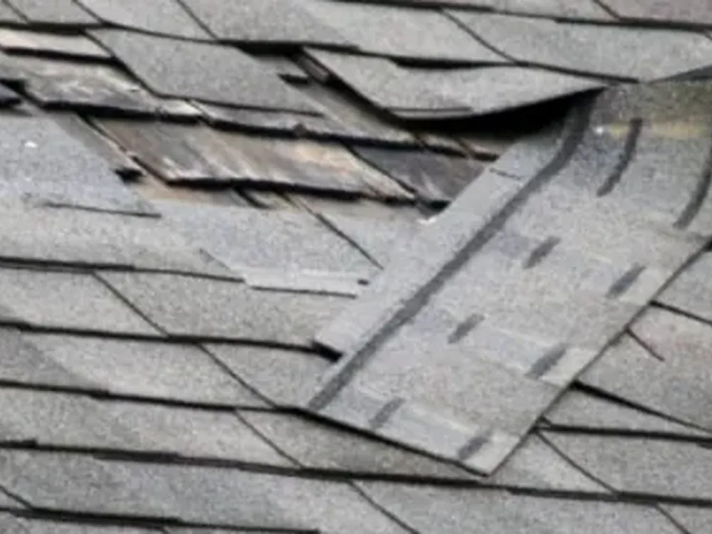 Wind-lifted and damaged asphalt shingles on a roof needing storm repair